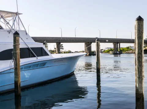 Hampton Roads coastal scenery